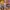 Konkurs_Lidl_QF_Quality_Food_08 (13)