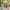 Konkurs_Lidl_QF_Quality_Food_08 (19)