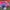 Konkurs_Lidl_QF_Quality_Food_08 (20)
