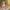 Konkurs_Lidl_QF_Quality_Food_08 (23)