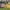 Konkurs_Lidl_QF_Quality_Food_08 (3)