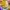 Konkurs_Lidl_QF_Quality_Food_08 (35)