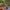 Konkurs_Lidl_QF_Quality_Food_08 (47)