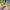 Konkurs_Lidl_QF_Quality_Food_08 (7)